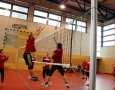 056--WSV_Volleyball-Turnier